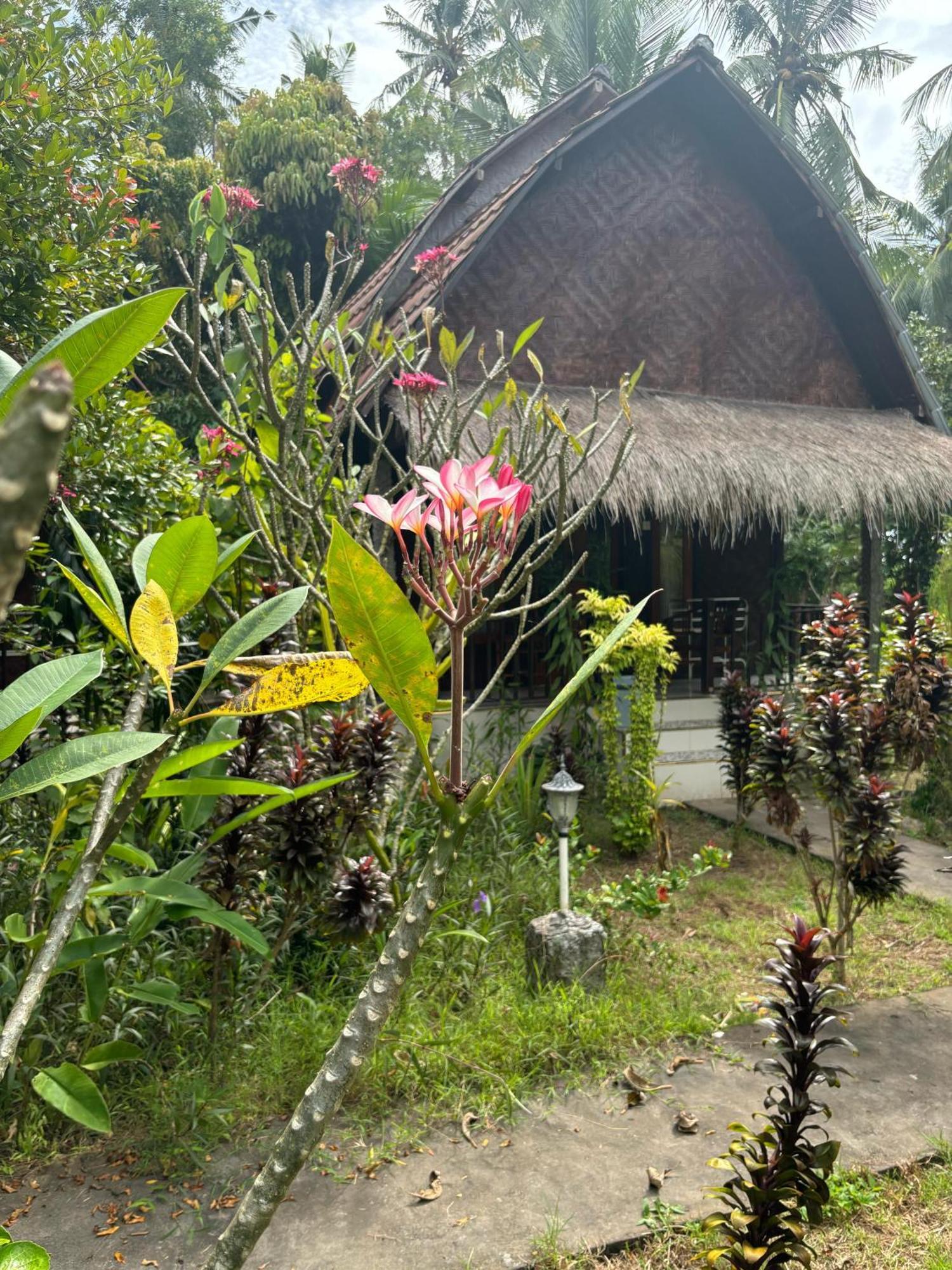 Kubu Artha Bungalow Nusa Penida Ped Buitenkant foto